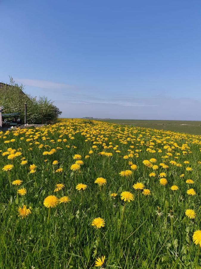 Hare Ferienwohnungen Langeneß Buitenkant foto
